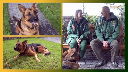 Hundevermittlung - Juli/August 2012 (Tierheim Hannover TV)