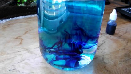 Discussion: Caring for your fish using Methylene blue