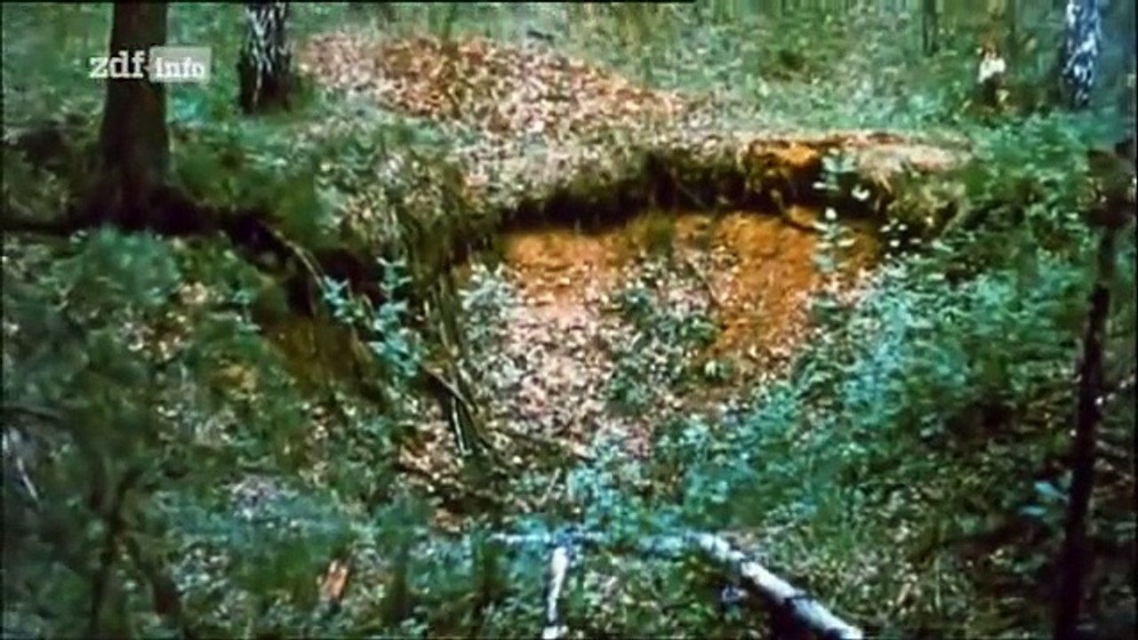 Die Romanows - Mythos Zarenmord