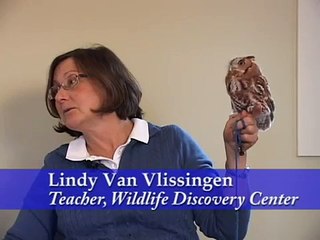 WILDLIFE DISCOVERY CENTER ON RAPTORS.mp4