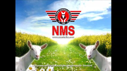 HIZLI ÇIKIŞLI KOYUN KEÇİ SAĞIM RAMPASI