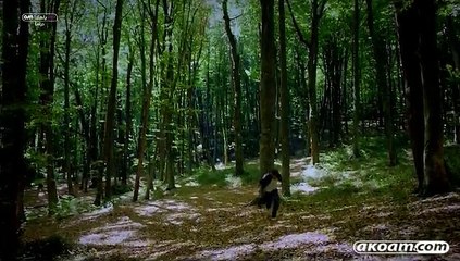 الحلقة التاسعة من الموسم الثامن من مسلسل وادي الذئاب