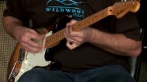 SOLD • Fender Custom Shop Dealer Select Wildwood 