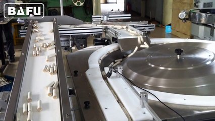 confectionery bar packaging machine, bars packaging machine,rotary feeding system