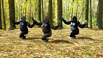 Ego - The Crazy Things We Do Official Music Video (Dancing Gorillas)