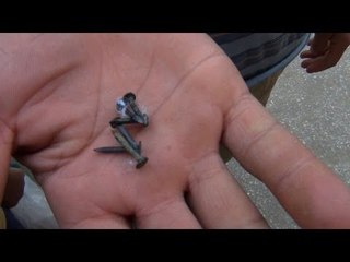 شهادة مصاب «قنبلة قسم بولاق»