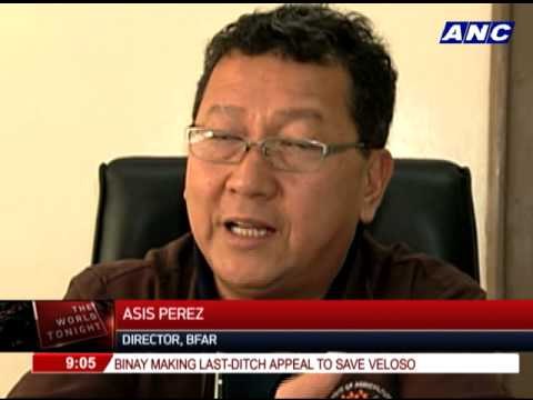 West PH Sea source of 10 pct of PH's annual fish supply