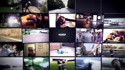 Funny animals caught stealing