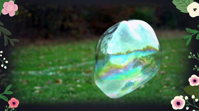 Grass Mowing Virginia Beach VA | 757.468.1731 | Lawn Care Service Virginia Beach