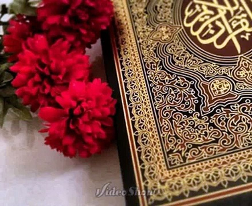 VID-20150502-WA0013.mp4