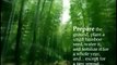 Inspiring Secrets About Persistence & Success -Bamboo Tree