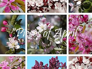 Pieces Of April - Three Dog Night