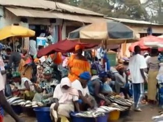 Gambia the smiling coast