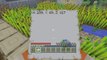 Minecraft Trolling! - Herobrine/Skin/Smashing Xbox Trolling!