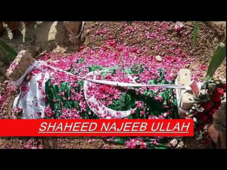 shaheed najeeb kasi