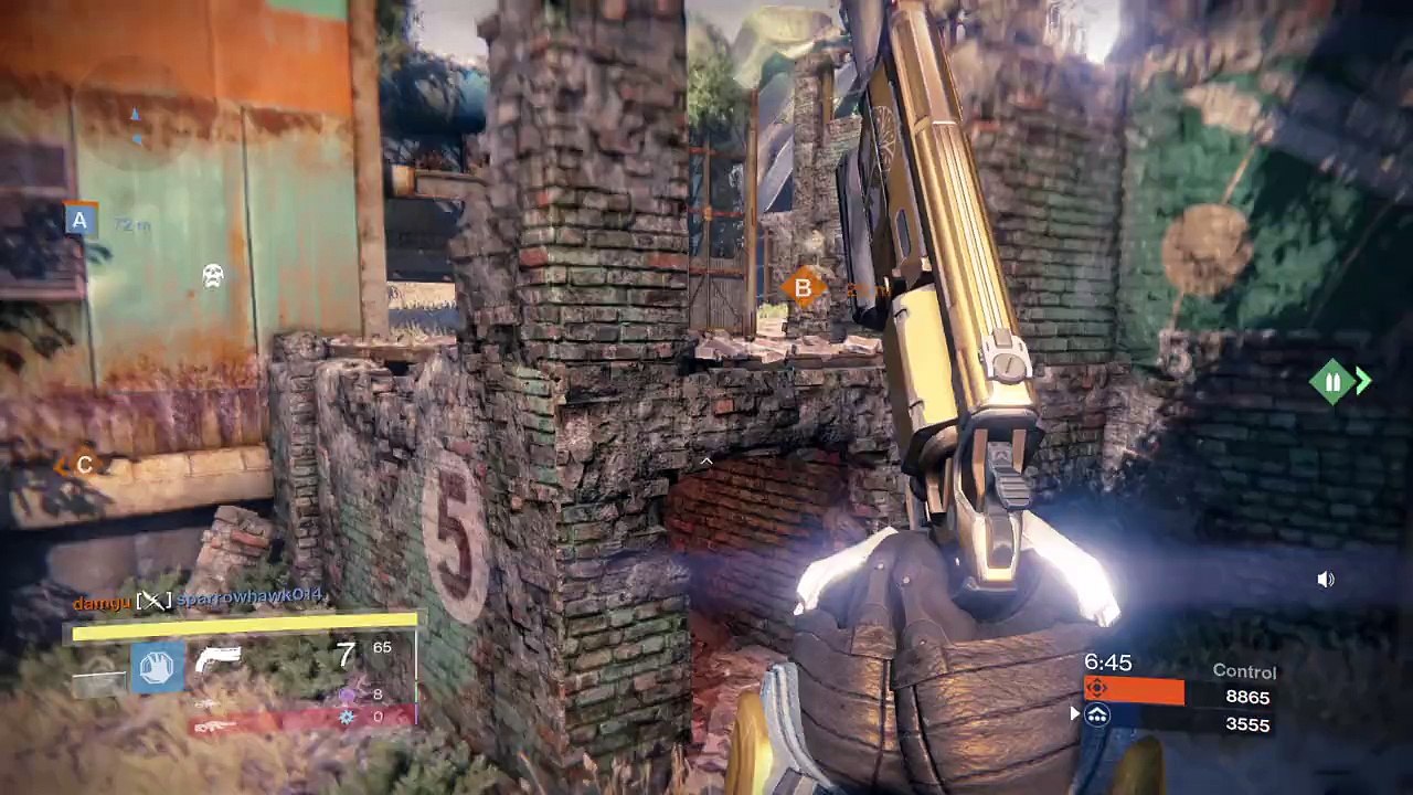 Destiny Team wipeout