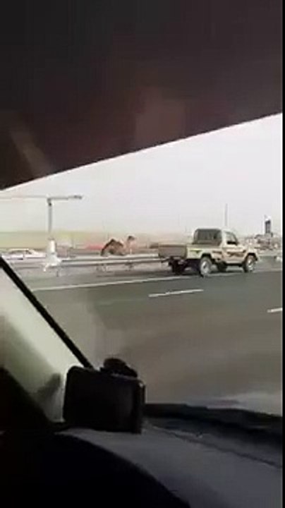 probleme de circulation a Doubai