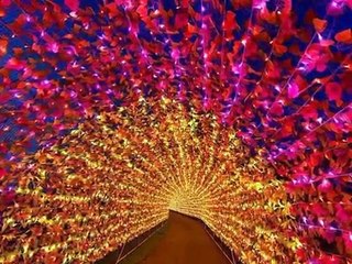 Popular Japanese tourist destination　いろんな夜景を見に行った気分でどうぞ！(^_^)v