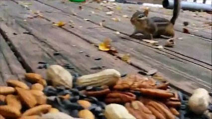 if you are feeling bore then watch this video