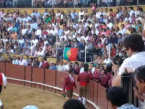 forcados de montemor - pega de cernelha feira de setembro