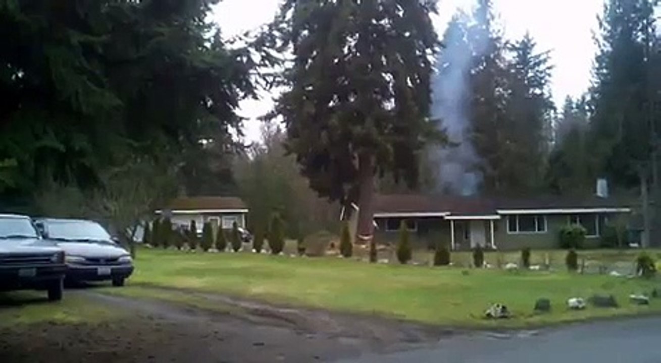 tree cutting fail