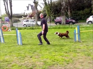 Marc & Guinness 25 avril 2015