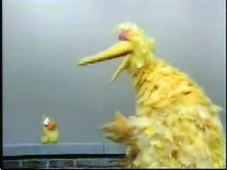 Sesame Street - Big Bird meets Little Bird