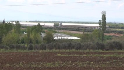 Bandırma'da Kuş Gribi