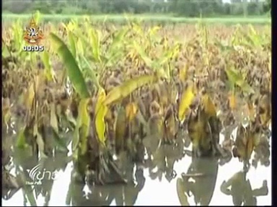 14AUG11 THAILAND ; Breaking News at Midnight ; Thai PBS