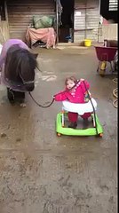 Cute Baby With Beautiful Horse