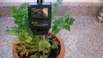 Soil Master Moisture Light and pH Meter Review