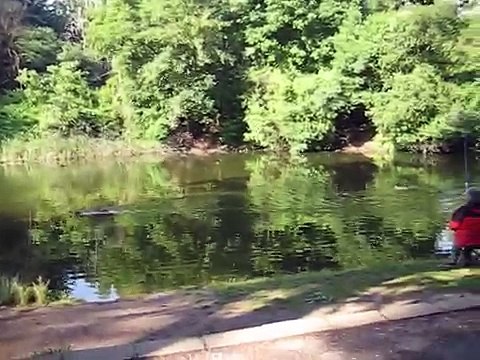 Семейство храни патици в Южен парк