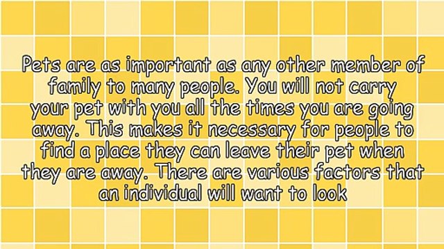 Factors To Consider When Choosing Pet Boarding In Orange County CA