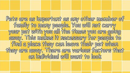 Factors To Consider When Choosing Pet Boarding In Orange County CA