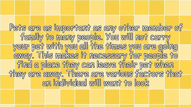 Factors To Consider When Choosing Pet Boarding In Orange County CA