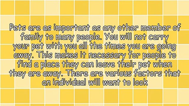 Factors To Consider When Choosing Pet Boarding In Orange County CA