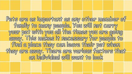 Factors To Consider When Choosing Pet Boarding In Orange County CA