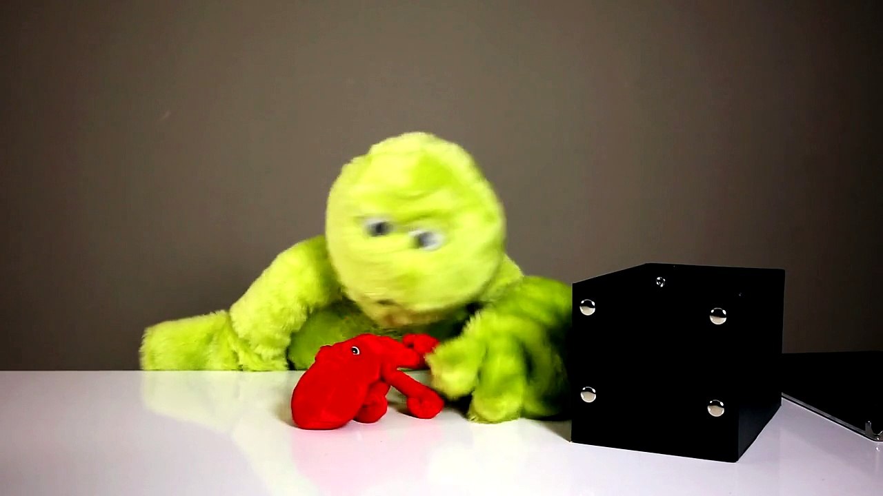 Dodo's Toy Box (Dodo'nun Oyuncak Kutusunda Neler Var-) VIDEO BY TAYYAB.