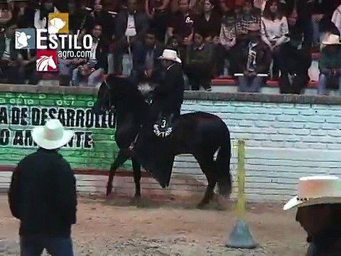 Gran Campeonato de Caballos Paso Fino Colombiano - Sogamoso 2013
