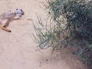 10. Mai 2015 - Muttertag ... endlich Pause!