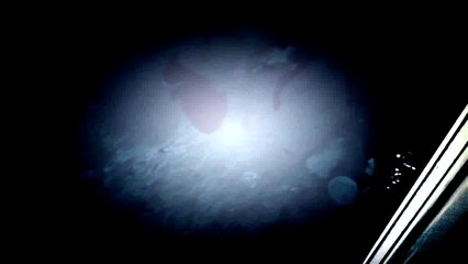 Cat meowing Cats eyes at night!! Incredible scene new 2015