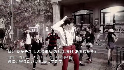 BTS (防弾少年団) ／  War of Hormone(ホルモン戦争)かなるび