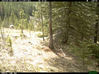 What goes on when you are not there!