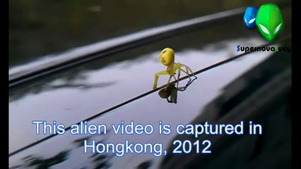 REAL Alien Sighting 2012 - Hongkong REAL Alien Footage