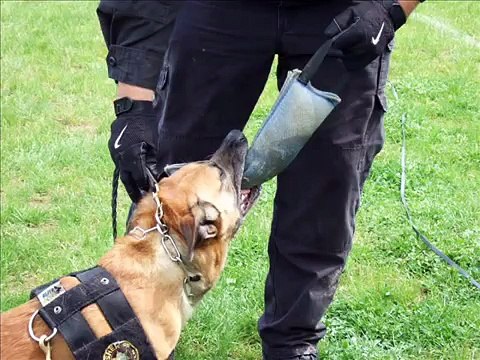 2007 International Police K9 Conference: Pittsburgh, Pa.