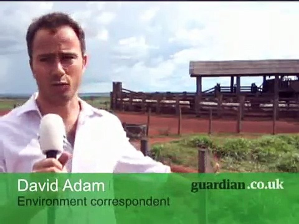 Greenpeace tracks beef and leather to Amazon deforestation