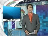 TV Patrol Palawan - April 17, 2015