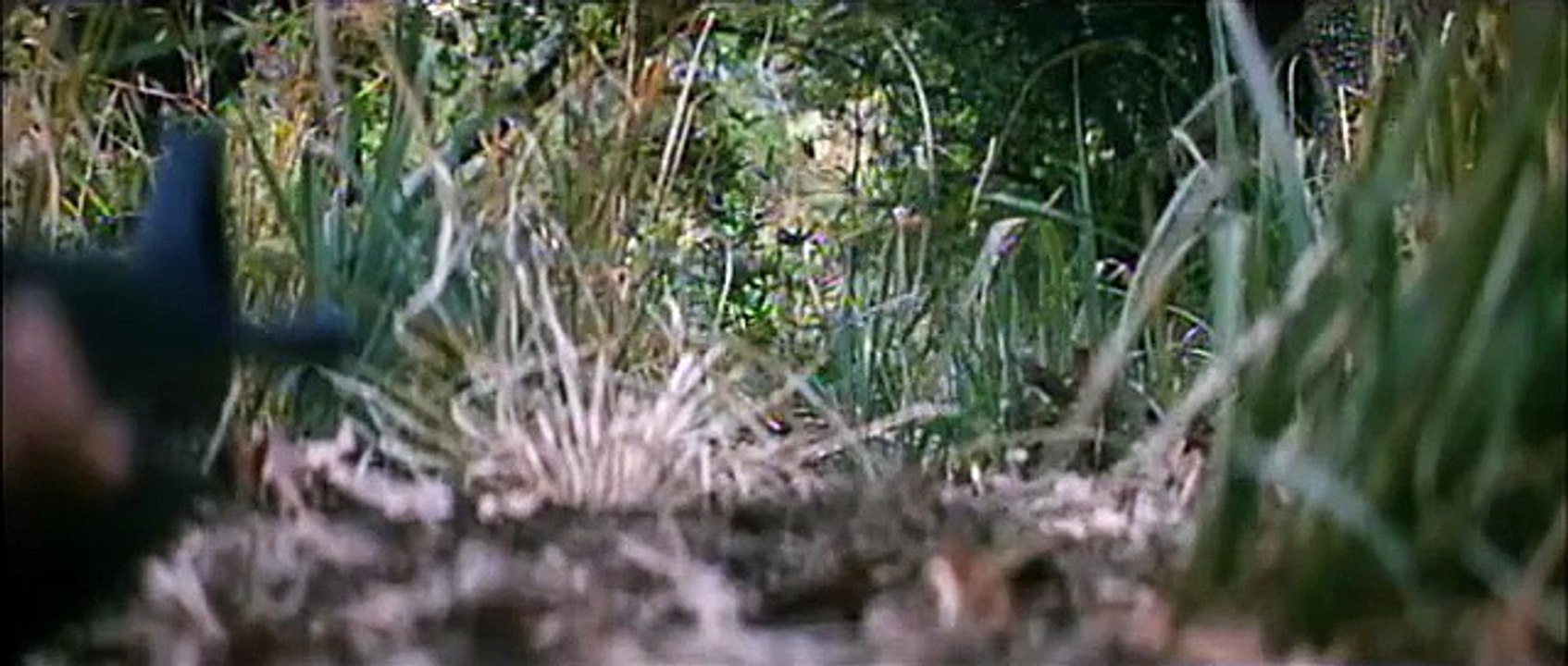 We Were Soldiers Deleted Scene - They re Crawling Right Up On Us (2002) - Mel Gibson War Movie HD