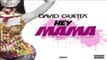 David Guetta - Melhores Músicas Eletrônicas