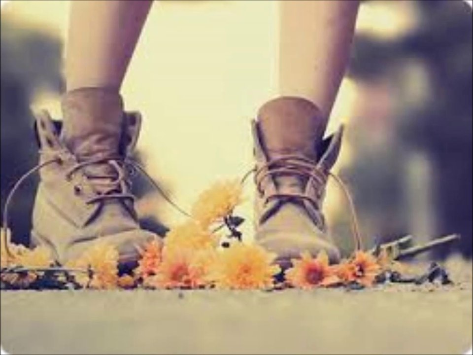 Novalis Deux - Put On Your Shoes